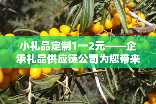 小礼品定制1一2元——企承礼品供应链公司为您带来优质定制体验
