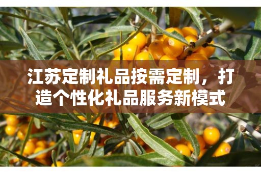 江苏定制礼品按需定制，打造个性化礼品服务新模式
